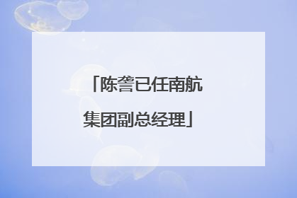 陈詟已任南航集团副总经理