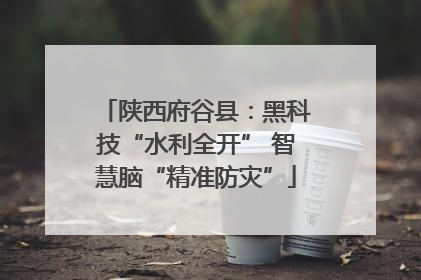 陕西府谷县：黑科技“水利全开” 智慧脑“精准防灾”