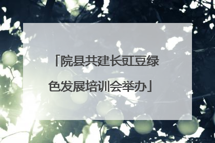 院县共建长豇豆绿色发展培训会举办
