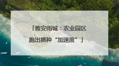 雅安雨城：农业园区跑出播种“加速度”