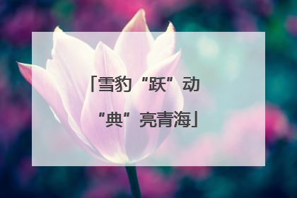 雪豹“跃”动 “典”亮青海