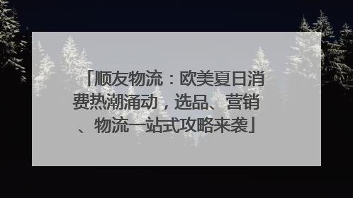 顺友物流：欧美夏日消费热潮涌动，选品、营销、物流一站式攻略来袭