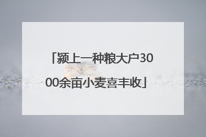 颍上一种粮大户3000余亩小麦喜丰收