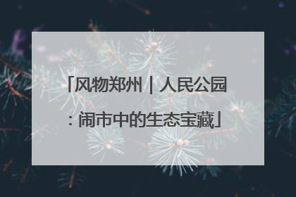 风物郑州｜人民公园：闹市中的生态宝藏