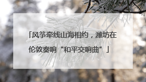 风筝牵线山海相约，潍坊在伦敦奏响“和平交响曲”