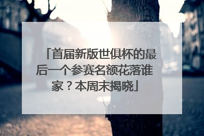 首届新版世俱杯的最后一个参赛名额花落谁家？本周末揭晓