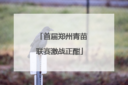 首届郑州青苗联赛激战正酣