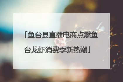 鱼台县直播电商点燃鱼台龙虾消费季新热潮