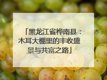 黑龙江省桦南县：木耳大棚里的丰收盛景与共富之路