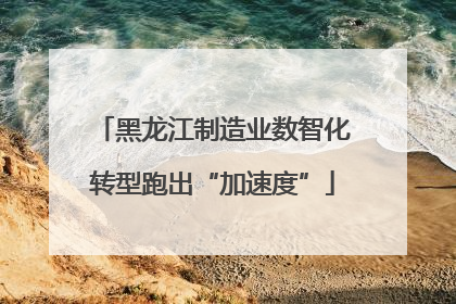 黑龙江制造业数智化转型跑出“加速度”