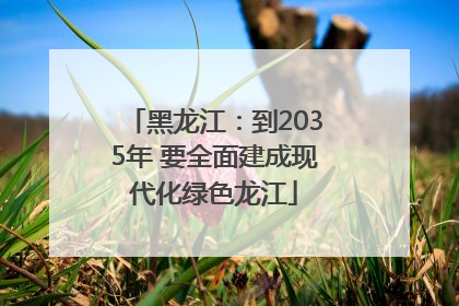 黑龙江：到2035年 要全面建成现代化绿色龙江