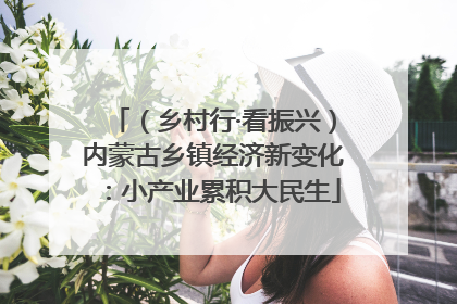 （乡村行·看振兴）内蒙古乡镇经济新变化：小产业累积大民生