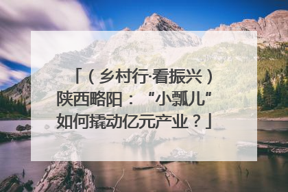 （乡村行·看振兴）陕西略阳：“小瓢儿”如何撬动亿元产业？