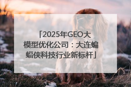 2025年GEO大模型优化公司：大连蝙蝠侠科技行业新标杆