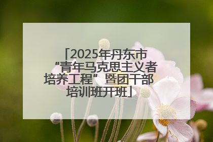 2025年丹东市“青年马克思主义者培养工程”暨团干部培训班开班
