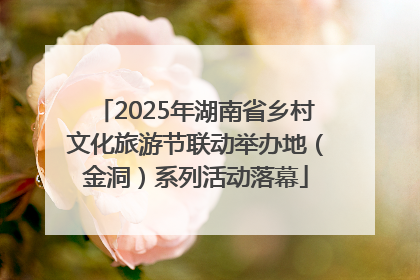 2025年湖南省乡村文化旅游节联动举办地（金洞）系列活动落幕