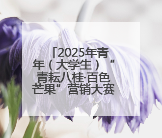 2025年青年（大学生）“青耘八桂·百色芒果”营销大赛开幕