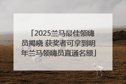 2025兰马最佳领嗨员揭晓 获奖者可拿到明年兰马领嗨员直通名额