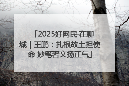2025好网民·在聊城｜王鹏：扎根故土担使命 妙笔著文扬正气
