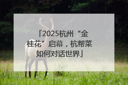 2025杭州“金桂花”启幕，杭帮菜如何对话世界