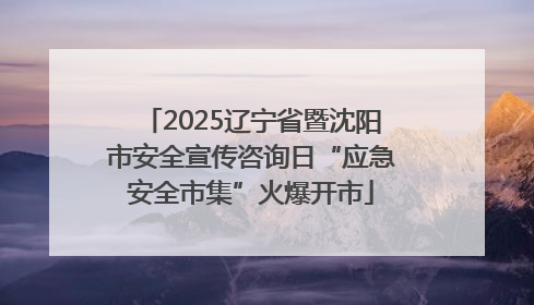 2025辽宁省暨沈阳市安全宣传咨询日“应急安全市集”火爆开市