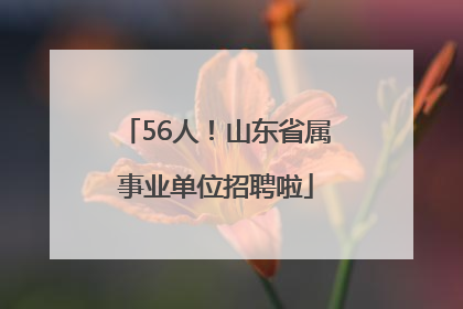 56人！山东省属事业单位招聘啦
