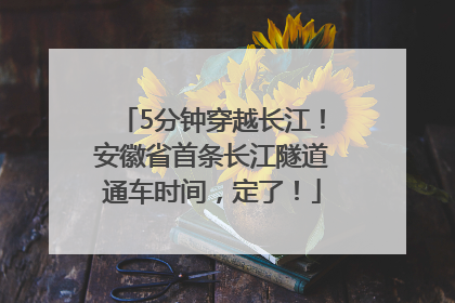 5分钟穿越长江！安徽省首条长江隧道通车时间，定了！