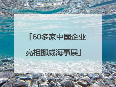 60多家中国企业亮相挪威海事展