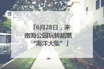 6月28日，来南海公园玩转超燃 “海洋大集”