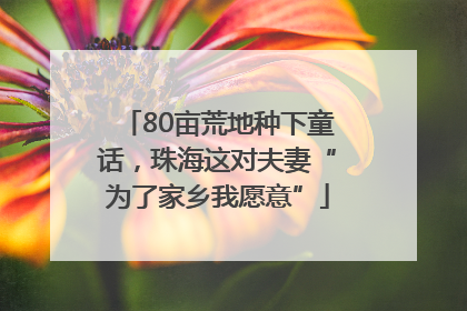 80亩荒地种下童话，珠海这对夫妻“为了家乡我愿意”