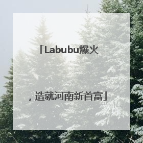 Labubu爆火，造就河南新首富